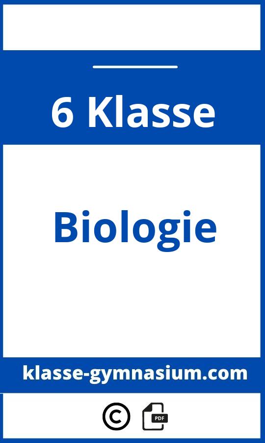 Biologie 6. Klasse Gymnasium