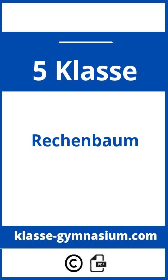 Rechenbaum 5. Klasse Gymnasium
